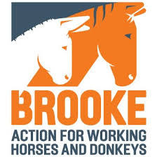 The Brooke Hospital for Animal